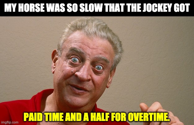 Slow horse | MY HORSE WAS SO SLOW THAT THE JOCKEY GOT; PAID TIME AND A HALF FOR OVERTIME. | image tagged in rodney dangerfield | made w/ Imgflip meme maker