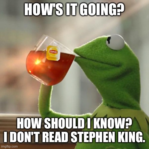 But That's None Of My Business | HOW'S IT GOING? HOW SHOULD I KNOW? I DON'T READ STEPHEN KING. | image tagged in memes,but that's none of my business,kermit the frog,stephen king | made w/ Imgflip meme maker