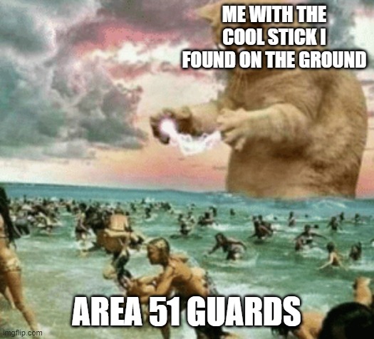 Idk what to title this | ME WITH THE COOL STICK I FOUND ON THE GROUND; AREA 51 GUARDS | image tagged in cat terrorizing beach | made w/ Imgflip meme maker