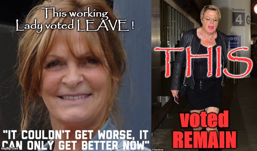 THIS voted REMAIN ! | THIS; voted
REMAIN | image tagged in jizz in my pants | made w/ Imgflip meme maker