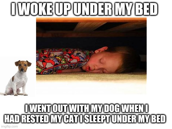 I WOKE UP UNDER MY BED; I WENT OUT WITH MY DOG WHEN I HAD RESTED MY CAT I SLEEPT UNDER MY BED | image tagged in bed | made w/ Imgflip meme maker