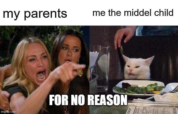 Woman Yelling At Cat Meme | my parents; me the middel child; FOR NO REASON | image tagged in memes,woman yelling at cat | made w/ Imgflip meme maker