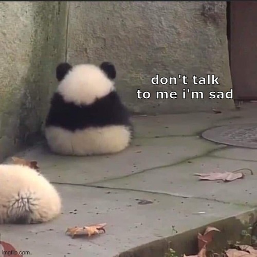 don't talk to me i'm sad | made w/ Imgflip meme maker