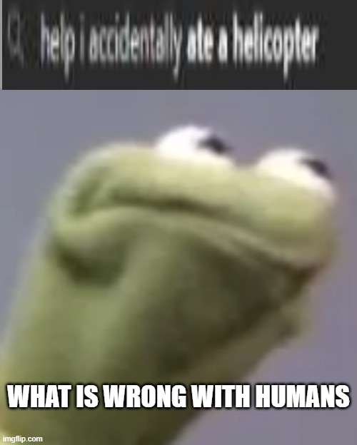 Hmmm kermit | WHAT IS WRONG WITH HUMANS | image tagged in hmmm kermit | made w/ Imgflip meme maker
