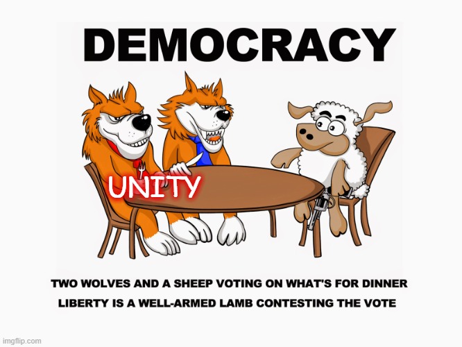 Democracy | UNITY | image tagged in democracy,two wolves,sheep,division | made w/ Imgflip meme maker