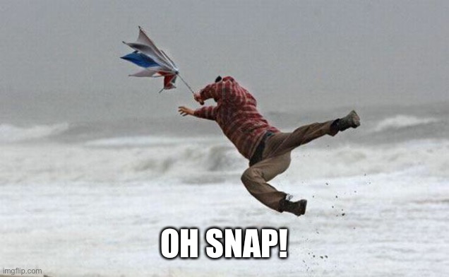 windy | OH SNAP! | image tagged in windy | made w/ Imgflip meme maker