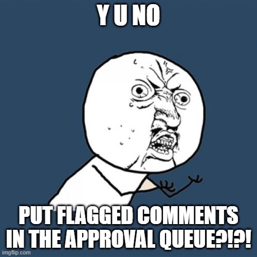 Y U No Meme | Y U NO; PUT FLAGGED COMMENTS IN THE APPROVAL QUEUE?!?! | image tagged in memes,y u no | made w/ Imgflip meme maker