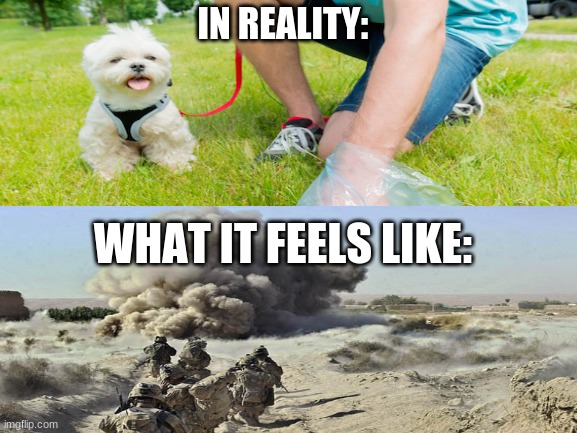 "Alright Private, your going to have to clean out this minefield" | IN REALITY:; WHAT IT FEELS LIKE: | image tagged in reality,truth,expectation vs reality | made w/ Imgflip meme maker