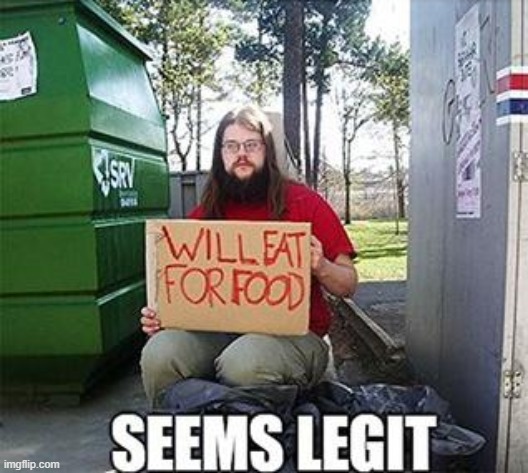 Homelessness | image tagged in legit,seems,homeless guy | made w/ Imgflip meme maker