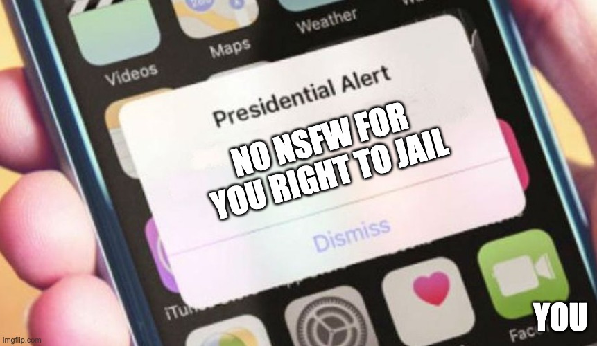 Presidential Alert | NO NSFW FOR YOU RIGHT TO JAIL; YOU | image tagged in memes,presidential alert | made w/ Imgflip meme maker