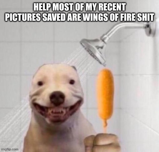 HELP MOST OF MY RECENT PICTURES SAVED ARE WINGS OF FIRE SHIT | made w/ Imgflip meme maker