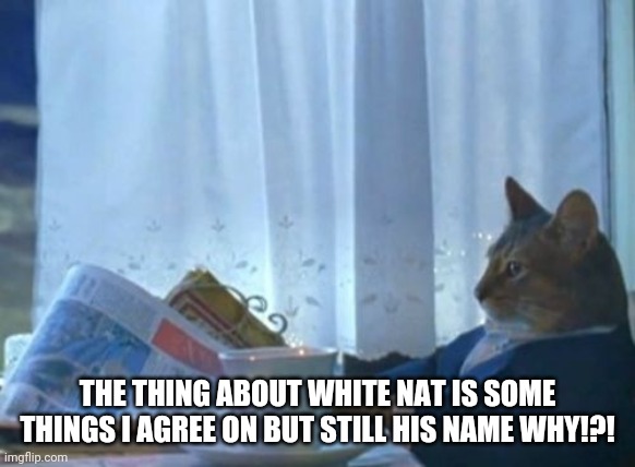 I dont fully agree with him that's stupid | THE THING ABOUT WHITE NAT IS SOME THINGS I AGREE ON BUT STILL HIS NAME WHY!?! | image tagged in memes,i should buy a boat cat | made w/ Imgflip meme maker