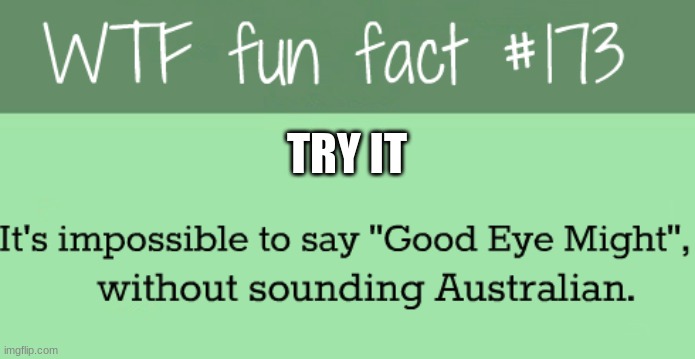 Try it, it works | TRY IT | image tagged in random,facts,fun | made w/ Imgflip meme maker