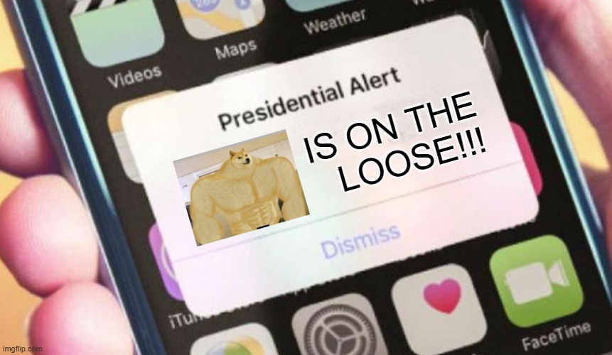 Everyone, look out! | IS ON THE
LOOSE!!! | image tagged in memes,presidential alert,buff doge,on the loose,danger,combined | made w/ Imgflip meme maker