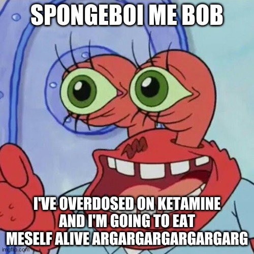 AHOY SPONGEBOB | SPONGEBOI ME BOB; I'VE OVERDOSED ON KETAMINE AND I'M GOING TO EAT MESELF ALIVE ARGARGARGARGARGARG | image tagged in ahoy spongebob | made w/ Imgflip meme maker