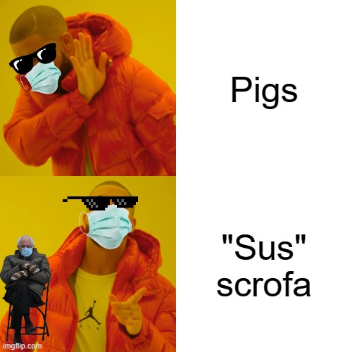 pigs are sus?? | Pigs; "Sus" scrofa | image tagged in memes,drake hotline bling | made w/ Imgflip meme maker