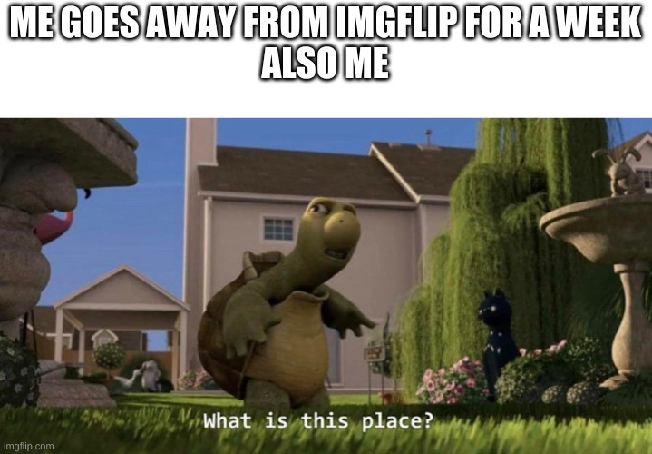 really what did i miss | ME GOES AWAY FROM IMGFLIP FOR A WEEK
ALSO ME | image tagged in what is this place | made w/ Imgflip meme maker