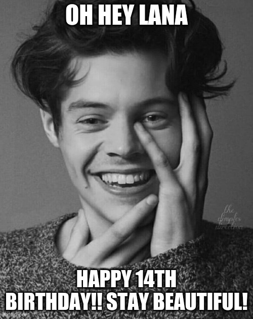 Happy b day | OH HEY LANA; HAPPY 14TH BIRTHDAY!! STAY BEAUTIFUL! | image tagged in harry styles | made w/ Imgflip meme maker