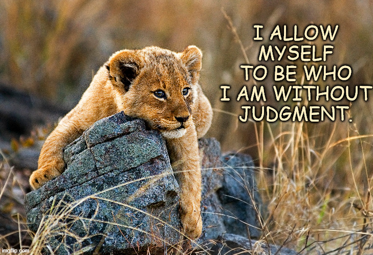 Be Myself | I ALLOW MYSELF TO BE WHO I AM WITHOUT JUDGMENT. | image tagged in affirmation | made w/ Imgflip meme maker