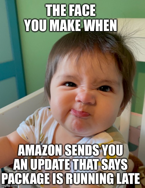 Amazon package late | THE FACE YOU MAKE WHEN; AMAZON SENDS YOU AN UPDATE THAT SAYS PACKAGE IS RUNNING LATE | image tagged in funny | made w/ Imgflip meme maker