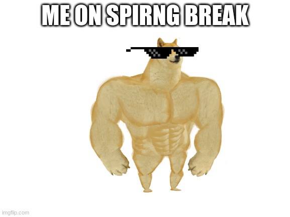 Blank White Template | ME ON SPIRNG BREAK | image tagged in blank white template | made w/ Imgflip meme maker