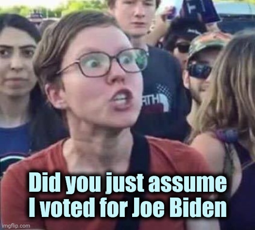 A glimpse into the future | Did you just assume I voted for Joe Biden | image tagged in angry liberal,mr incredible mad,mad,disappointment,what the hell happened here,anger | made w/ Imgflip meme maker