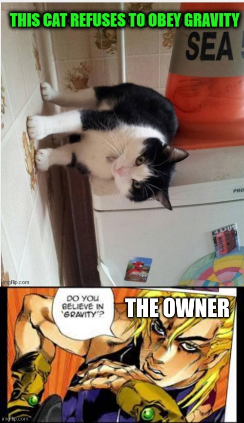 heres a new template (top immage own by Who_Am_I) | THE OWNER | image tagged in do you beleve in ___ | made w/ Imgflip meme maker