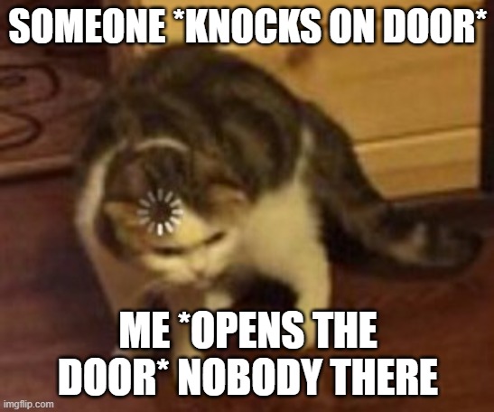 PROBABLY DOORKNOCK DASH | SOMEONE *KNOCKS ON DOOR*; ME *OPENS THE DOOR* NOBODY THERE | image tagged in loading cat | made w/ Imgflip meme maker