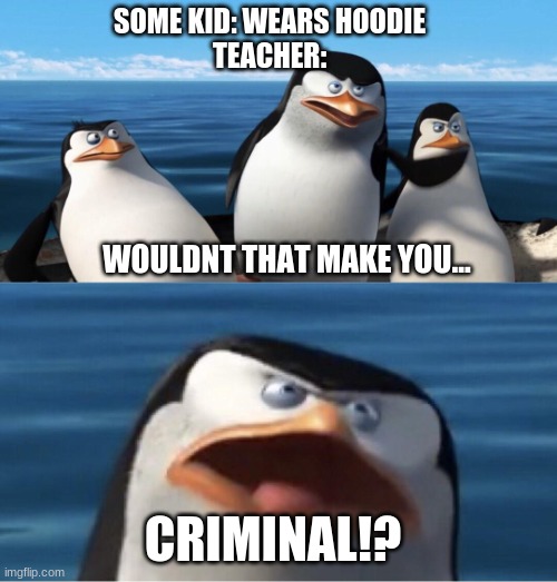 meme |  SOME KID: WEARS HOODIE
TEACHER:; WOULDNT THAT MAKE YOU... CRIMINAL!? | image tagged in wouldn't that make you,school meme,memes,funny,so true memes | made w/ Imgflip meme maker