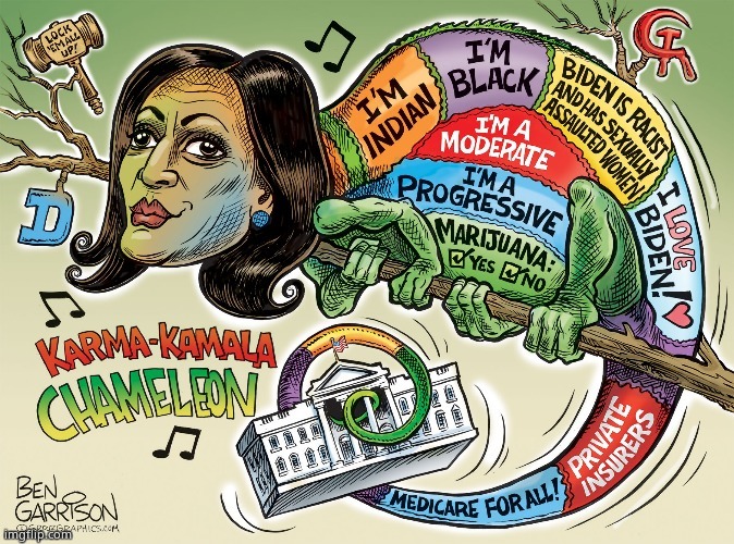 Kamala chameleon | image tagged in kamala chameleon | made w/ Imgflip meme maker