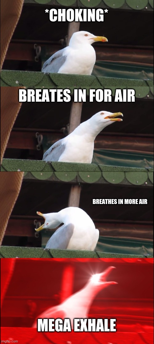 Inhaling Seagull | *CHOKING*; BREATES IN FOR AIR; BREATHES IN MORE AIR; MEGA EXHALE | image tagged in memes,inhaling seagull | made w/ Imgflip meme maker