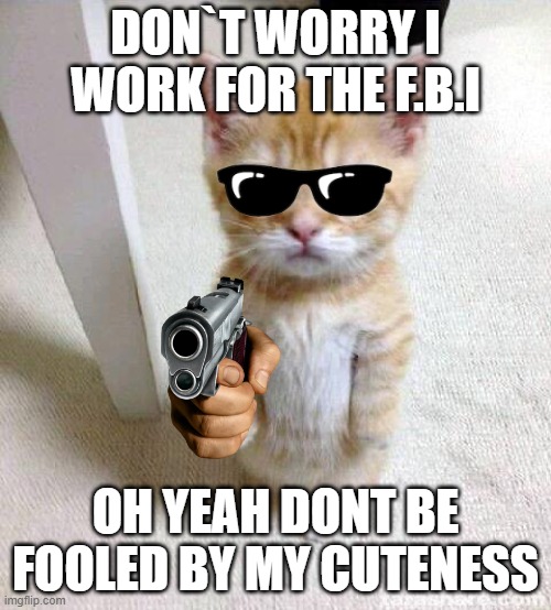 F.B.I | DON`T WORRY I WORK FOR THE F.B.I; OH YEAH DONT BE FOOLED BY MY CUTENESS | image tagged in memes,cute cat | made w/ Imgflip meme maker