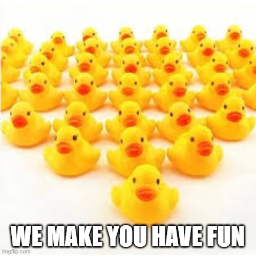 duckss.jpg | WE MAKE YOU HAVE FUN | image tagged in duckss jpg | made w/ Imgflip meme maker