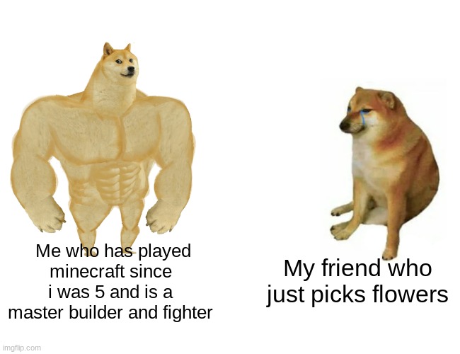 2 types of players | Me who has played minecraft since i was 5 and is a master builder and fighter; My friend who just picks flowers | image tagged in memes,buff doge vs cheems | made w/ Imgflip meme maker