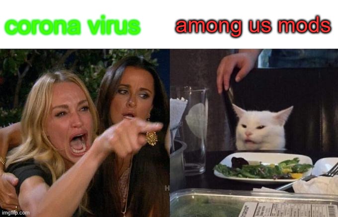 Woman Yelling At Cat | corona virus; among us mods | image tagged in memes,woman yelling at cat | made w/ Imgflip meme maker