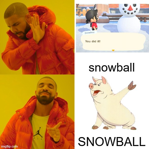 SnOw | snowball; SNOWBALL | image tagged in memes,drake hotline bling | made w/ Imgflip meme maker