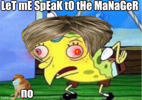 Mocking Spongebob | LeT mE SpEaK tO tHe MaNaGeR; no | image tagged in memes,mocking spongebob | made w/ Imgflip meme maker