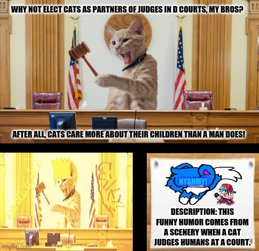 Judge Kitty | WHY NOT ELECT CATS AS PARTNERS OF JUDGES IN D COURTS, MY BROS? AFTER ALL, CATS CARE MORE ABOUT THEIR CHILDREN THAN A MAN DOES! NYANMY! DESCRIPTION: THIS FUNNY HUMOR COMES FROM A SCENERY WHEN A CAT JUDGES HUMANS AT A COURT. | image tagged in memes,smudge the cat,judgemental | made w/ Imgflip meme maker