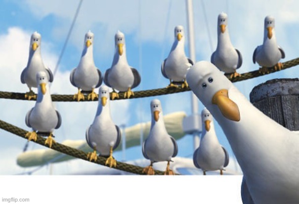 Finding Nemo Seagulls | image tagged in finding nemo seagulls | made w/ Imgflip meme maker