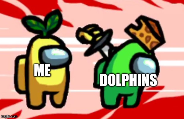 Among Us Stab | ME DOLPHINS | image tagged in among us stab | made w/ Imgflip meme maker