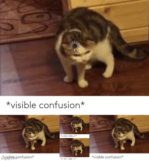 image tagged in visible confusion | made w/ Imgflip meme maker
