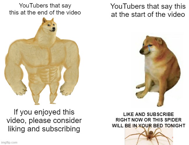 Buff Doge vs. Cheems | YouTubers that say this at the end of the video; YouTubers that say this at the start of the video; If you enjoyed this video, please consider liking and subscribing; LIKE AND SUBSCRIBE RIGHT NOW OR THIS SPIDER WILL BE IN YOUR BED TONIGHT | image tagged in memes,buff doge vs cheems,youtuber,youtubers,spider | made w/ Imgflip meme maker