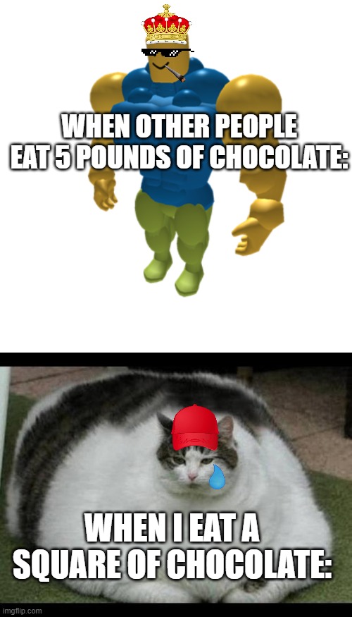 WHEN OTHER PEOPLE EAT 5 POUNDS OF CHOCOLATE:; WHEN I EAT A SQUARE OF CHOCOLATE: | image tagged in strong boi,fat cat 2 | made w/ Imgflip meme maker