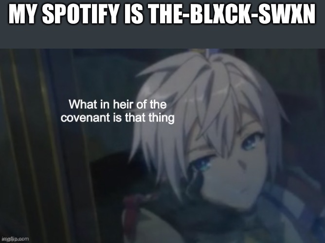 Res what in heir of the covenant | MY SPOTIFY IS THE-BLXCK-SWXN | image tagged in res what in heir of the covenant | made w/ Imgflip meme maker