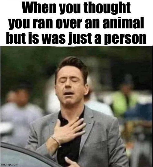 Close call am I right? | When you thought you ran over an animal but is was just a person | made w/ Imgflip meme maker