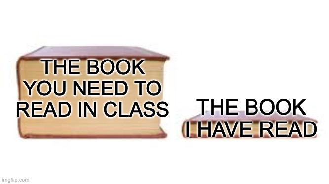 Big book small book | THE BOOK YOU NEED TO READ IN CLASS; THE BOOK I HAVE READ | image tagged in big book small book | made w/ Imgflip meme maker