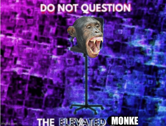 Do not question the elevated one | MONKE | image tagged in do not question the elevated one | made w/ Imgflip meme maker