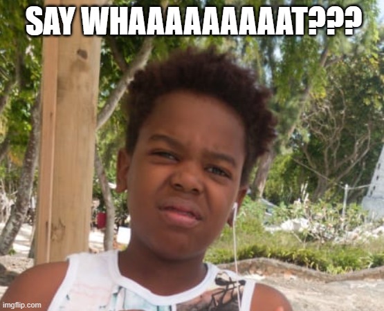 Say what? | SAY WHAAAAAAAAAT??? | image tagged in what | made w/ Imgflip meme maker