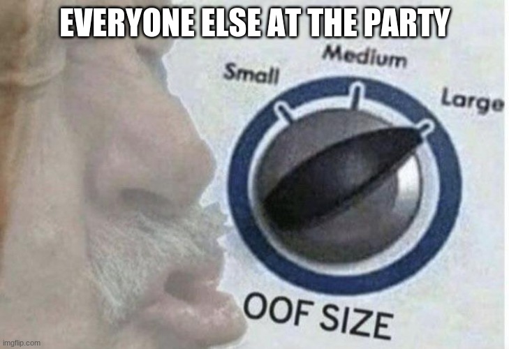 Oof size large | EVERYONE ELSE AT THE PARTY | image tagged in oof size large | made w/ Imgflip meme maker