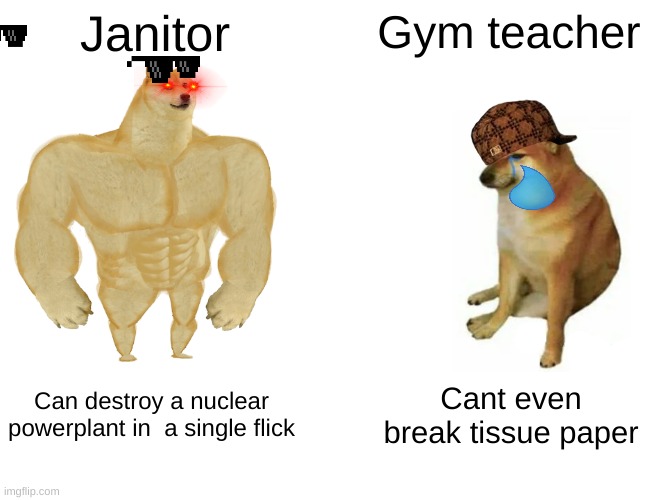 Buff Doge vs. Cheems | Janitor; Gym teacher; Can destroy a nuclear powerplant in  a single flick; Cant even break tissue paper | image tagged in memes,buff doge vs cheems | made w/ Imgflip meme maker